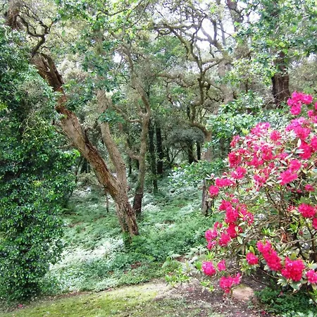 Ama Bortza 7 Personnes Vue Sur Le Golf D'hossegor Dom wakacyjny Soorts-Hossegor